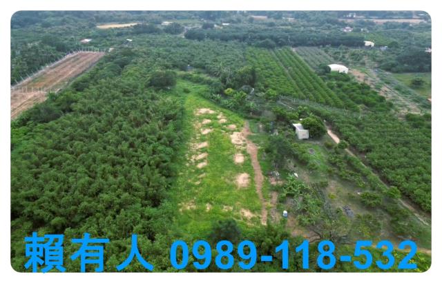 台南農地-2