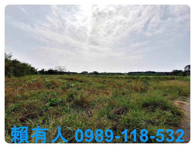 台南農地-6
