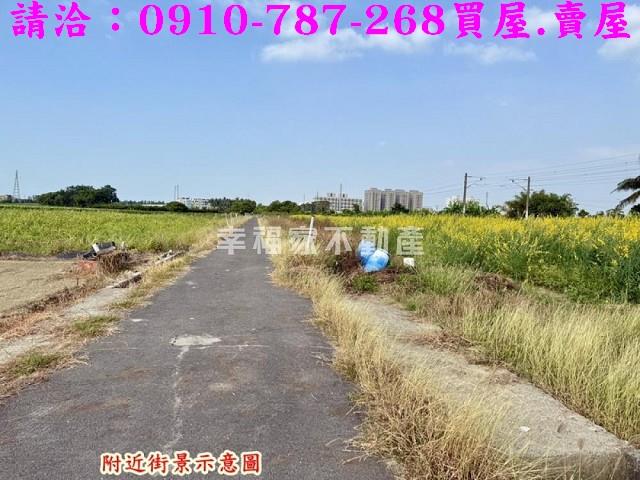 台南新市農地-2