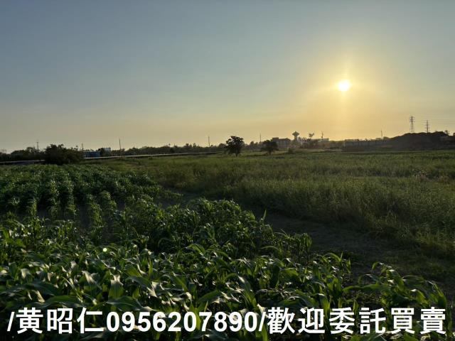 台南農地-6