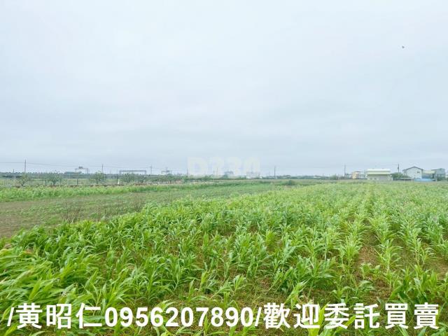 台南農地-10