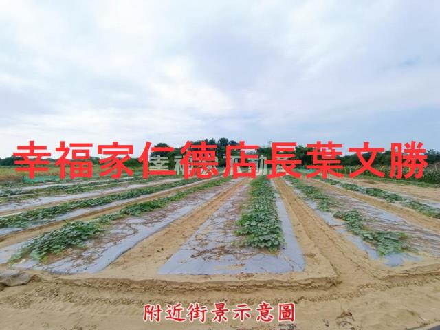 台南歸仁農地-6