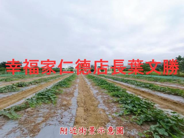台南歸仁農地-9