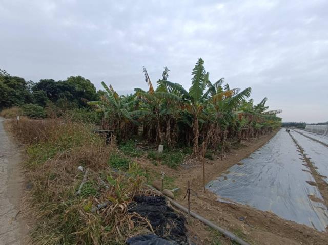 台南玉井農地-9