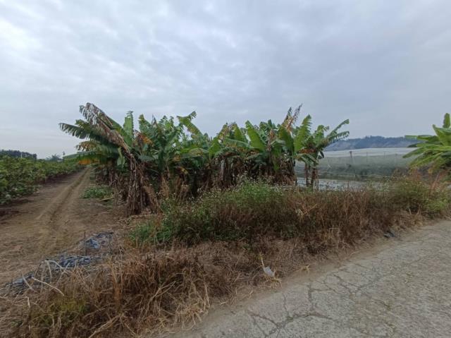 台南玉井農地-1
