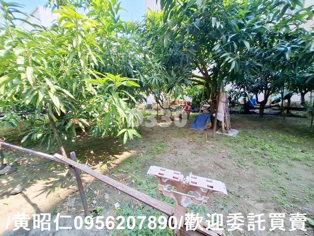 台南安平建地-3