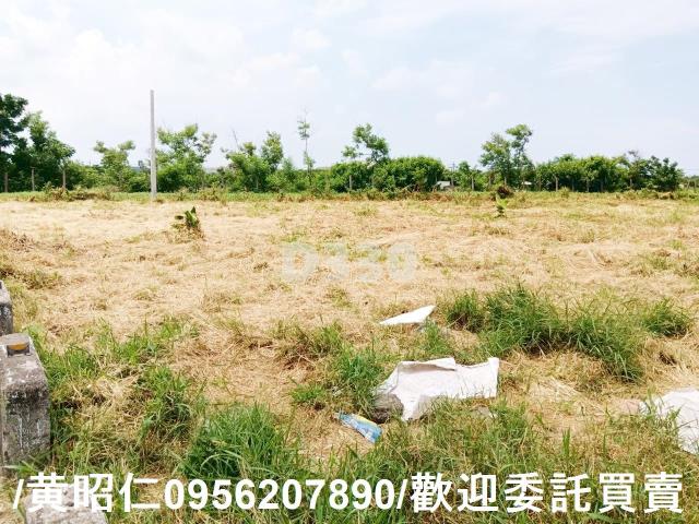 台南安南農地-3