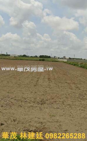 鹽水農地法拍-2