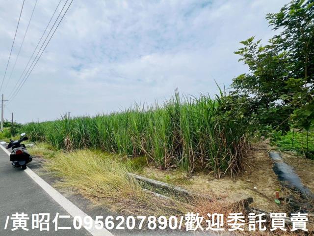 台南善化農地-10