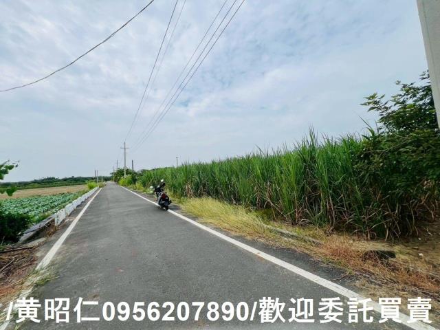 台南善化農地-1