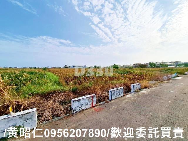 台南七股農地-7