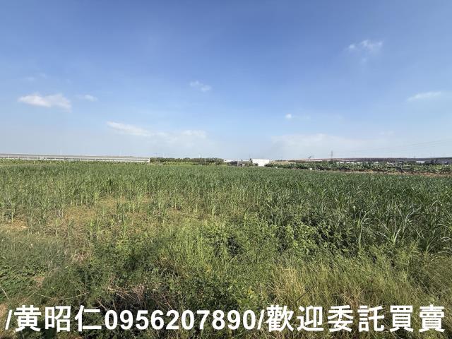 台南永康農地-1