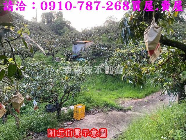 台南玉井農地-13