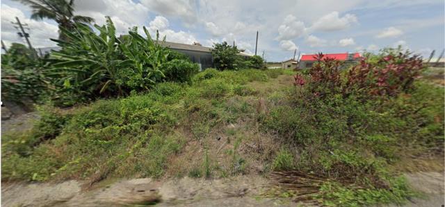 台南學甲法拍建地-9