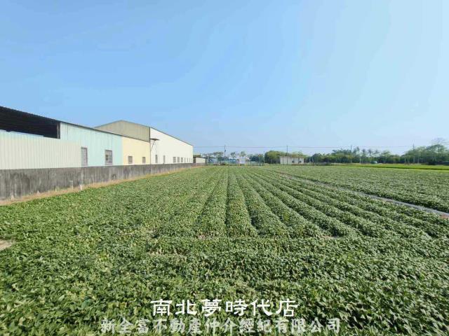 新市農地-5