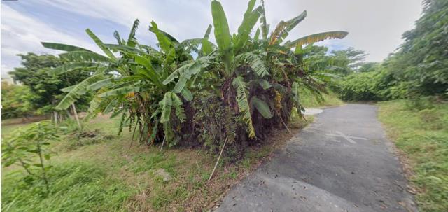 台南法拍建地-4