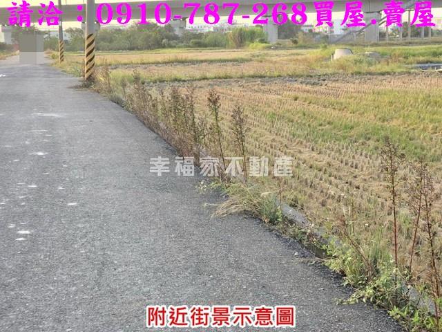 台南官田農地-4