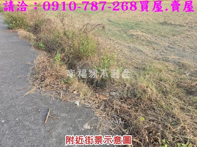 台南官田農地-8