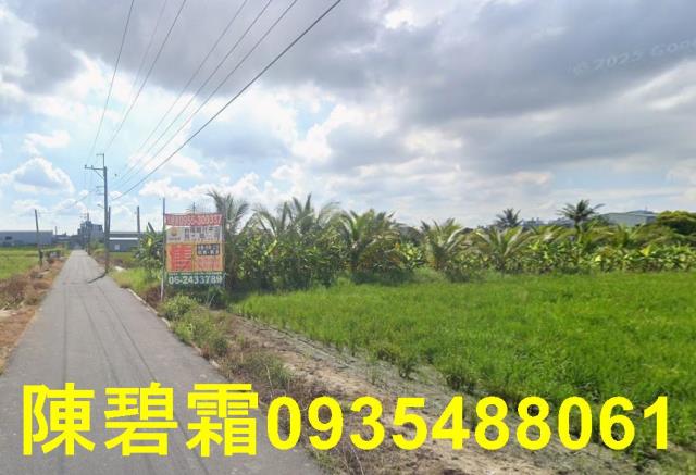 台南永康農地-10