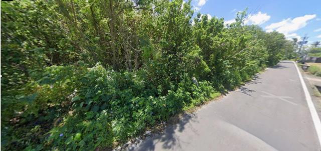 台南安定法拍殯葬用地-4