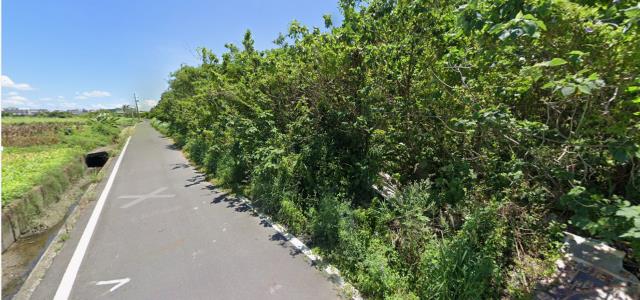 台南安定法拍殯葬用地-5