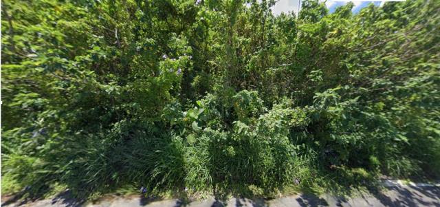 台南安定法拍殯葬用地-9