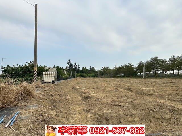 台南新化農地-7