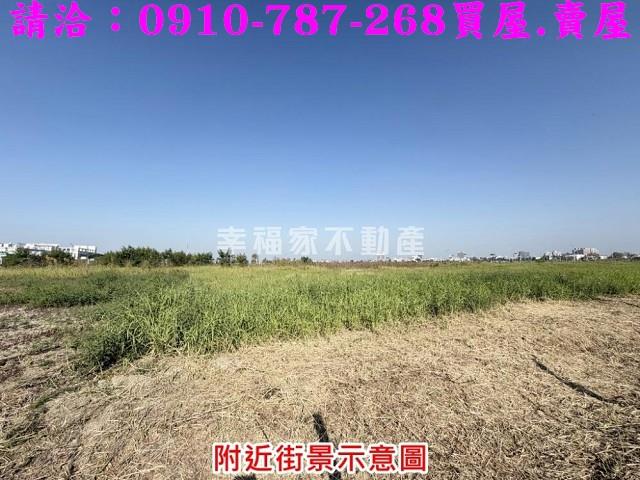 台南善化建地-5