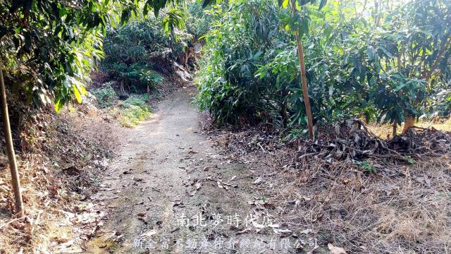 台南楠西農地-6