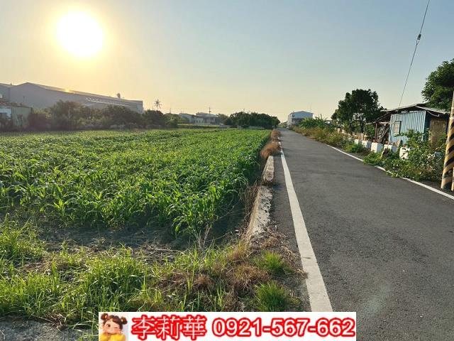 台南安定農地-6